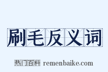 刷毛反义词是什么意思的图片